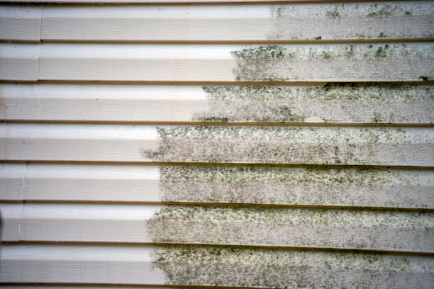 Best Demolition Debris Removal  in Covington, KY
